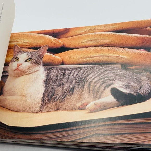 Cats at Work Postcard Book (1991, Abbeville Press) – 30 Vintage Postcards - Picture 6 of 10